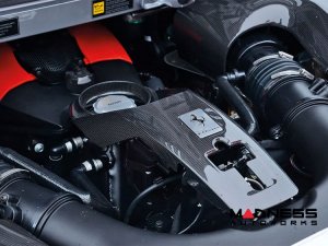Ferrari F8 Engine Cover Trim - Carbon Fiber - Center Section Ferrari F8 Engine Cover Trim - Carbon Fiber - Center Section